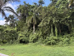 Terrenos